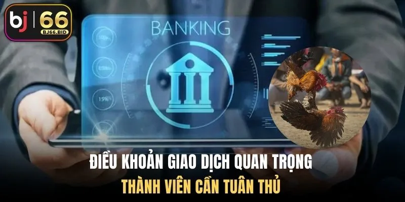 dieu-khoan-giao-dich-quan-trong-thanh-vien-can-tuan-thu