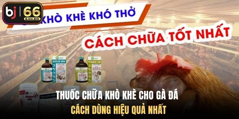 thuoc-chua-kho-khe-cho-ga-da